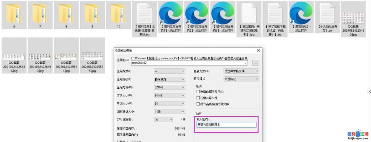 【极品】PR社私人玩物部部精选会员合集二【nVnP 3.53g 度盘永链，失效不补】