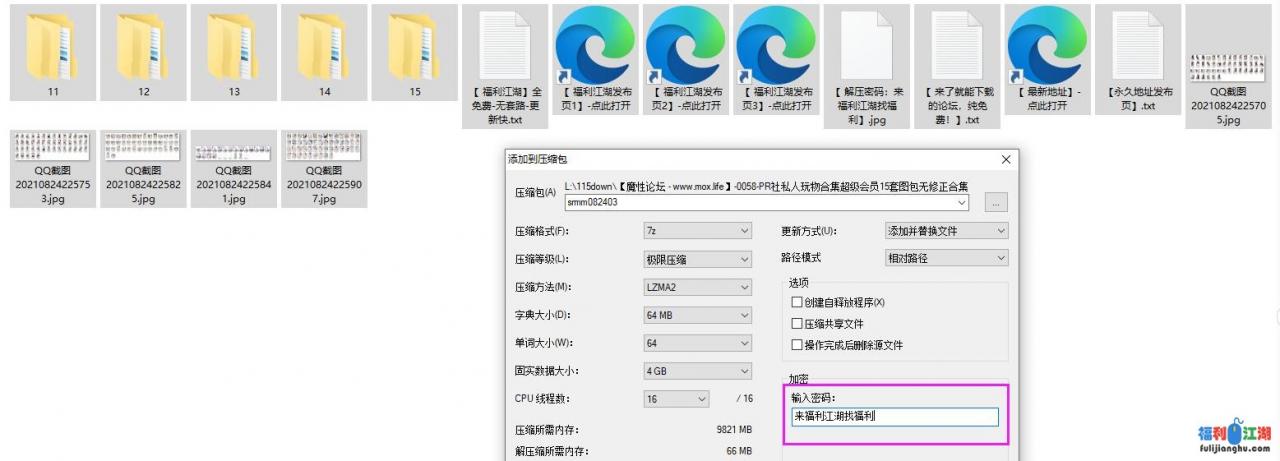 【极品】PR社私人玩物部部精选会员合集三【nVnP 4.43g 度盘永链，失效不补】