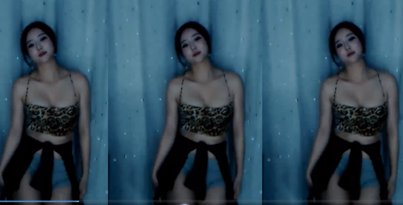 谈莉娜定制舞蹈合集21V 973M【百度云 永久链接】